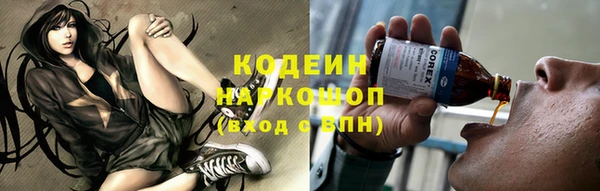 стаф Лабытнанги
