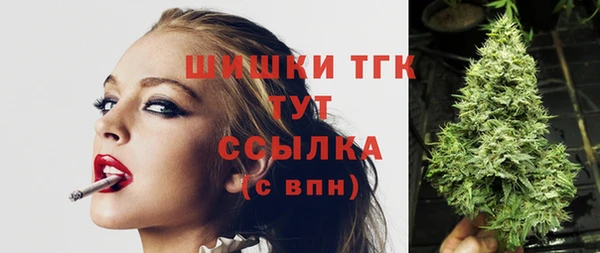 стаф Ладушкин