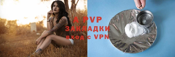 стаф Ладушкин
