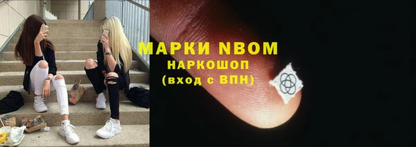 стаф Ладушкин