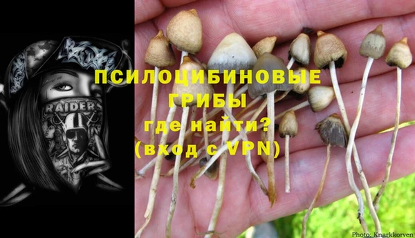 стаф Лабытнанги