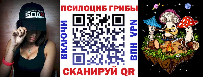Купить закладки  Новоалександровск  Галлюциногенные грибы Magic Shrooms 